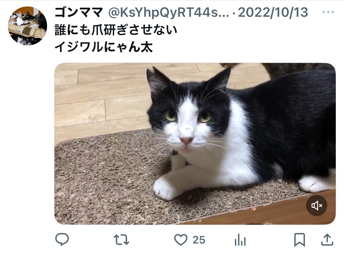 にゃんたん♡ にゃんたん / 魔界天使 (@Zz__neko) / Posts / X