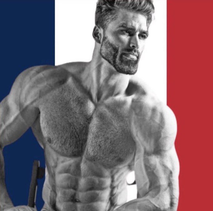 Altarys_'s tweet image. J’ai offert un livre sur les gaulois à mon neveu : il est en admiration et ne veut pas lâcher le livre.
Victoire française.