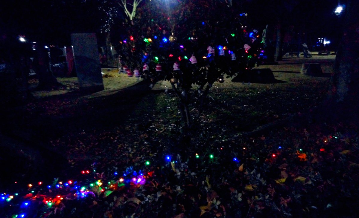 equalyoshie's tweet photo. .
通りがかった公園が
メリークリスマス🎄 https://t.co/kZ1TIq9F6F