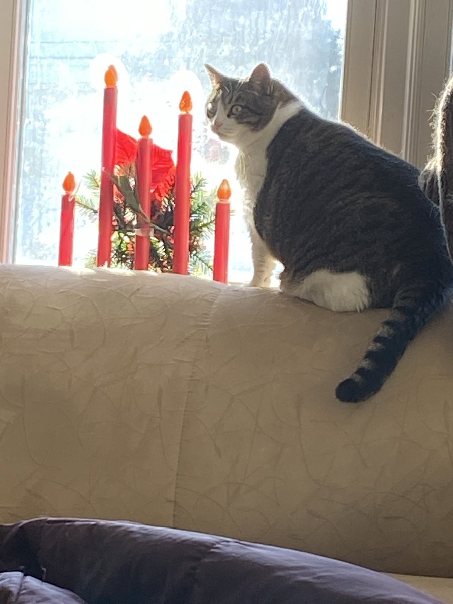 AngelCandyMom's tweet image. Merry Christmas - part 1.