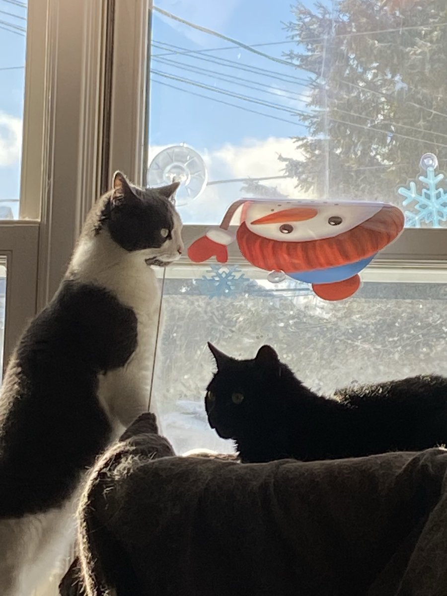 AngelCandyMom's tweet image. Merry Christmas - part 1.