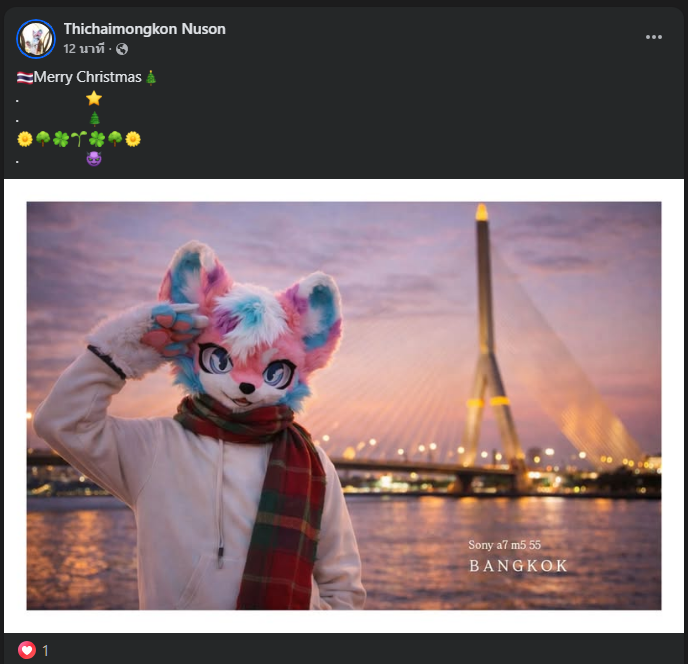 meawkur's tweet photo. @luy13848982 as this picture and also the Facebook profile picture, TikTok. https://t.co/O09bgb2cX7