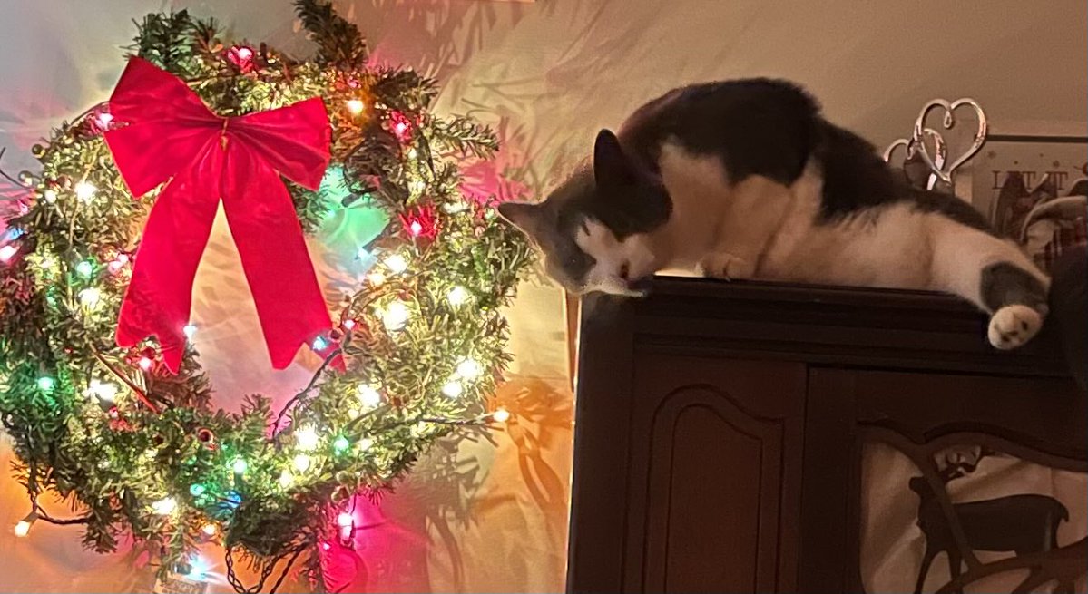 AngelCandyMom's tweet image. Merry Christmas - part 2