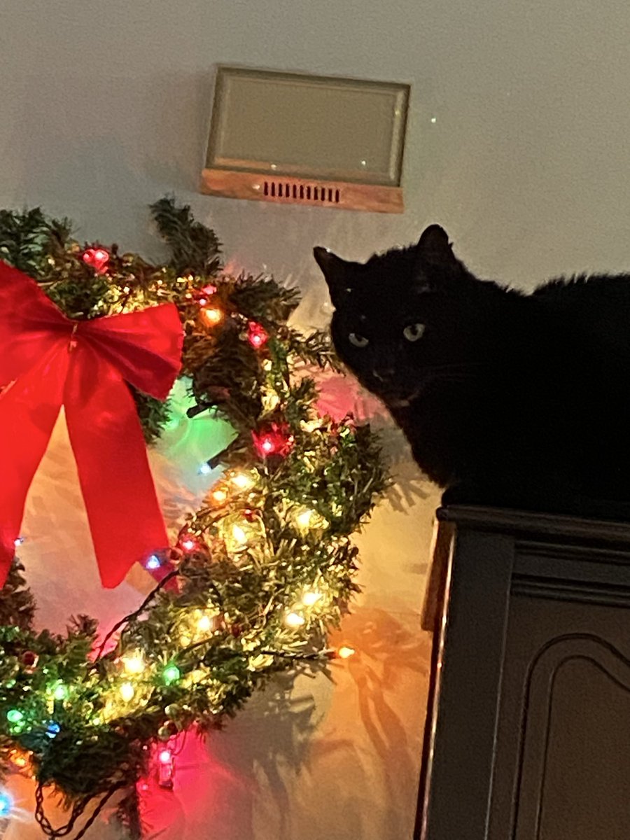 AngelCandyMom's tweet image. Merry Christmas - part 2