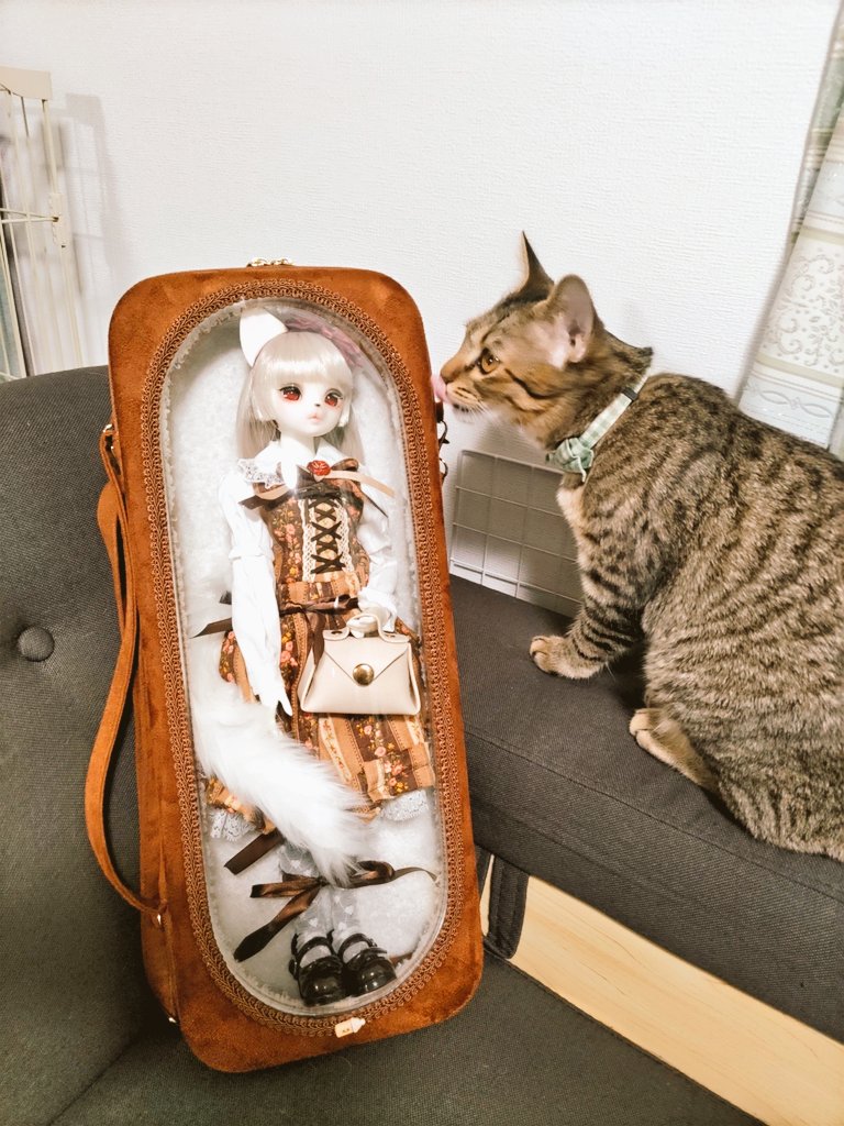 yuk1k0m0r1's tweet photo. #ドールとオーナー
#ドールとお揃い
#VIVIEN

本日分をタグ付けて再掲🐈️
妹の家の仔猫ちゃん姉妹の毛色に合わせて、茶色系のコーデ🤎

胸元のリボンはドール&amp;オーナー共に妹の手作り🎀
頭のリボンは、ドールは異形姫様のカチューシャ、私のはセリア🎀
ジャンスカはドール用は自作、私のはaxes👗 https://t.co/DOVy40g1Fg