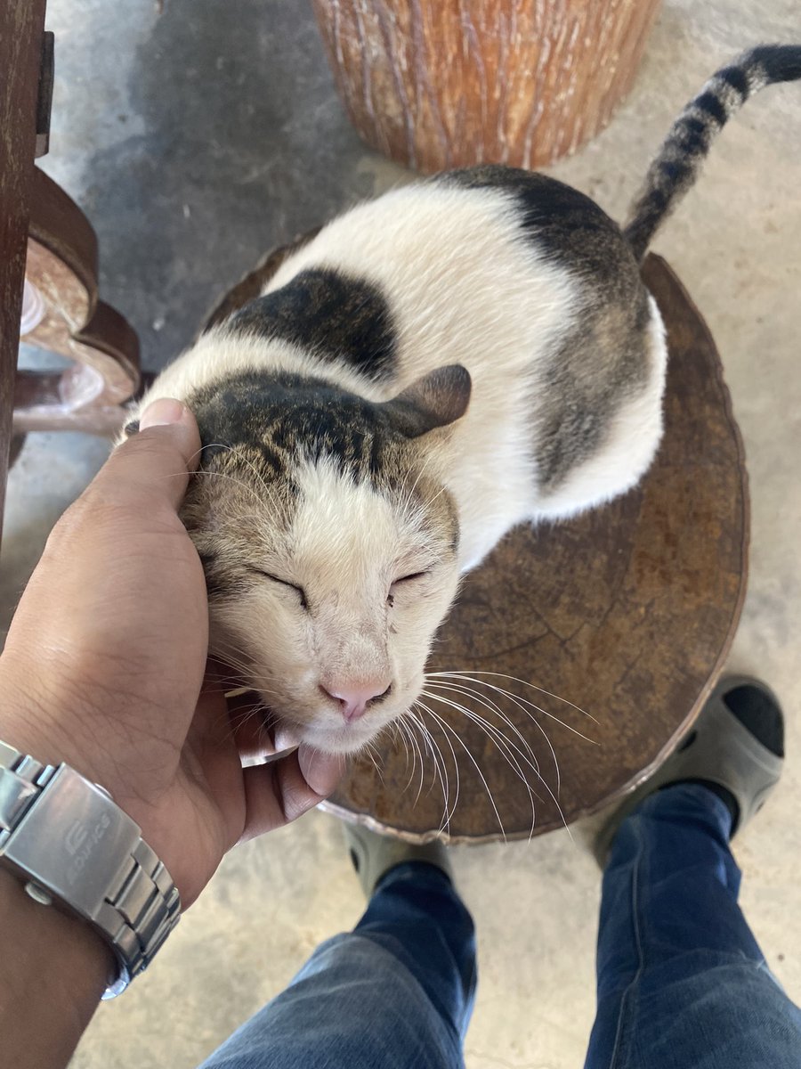 PoMP2E's tweet image. ผลประกอบการวันนี้ 🤣