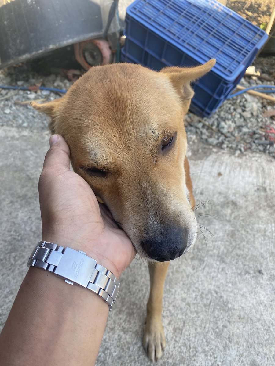 PoMP2E's tweet image. ผลประกอบการวันนี้ 🤣