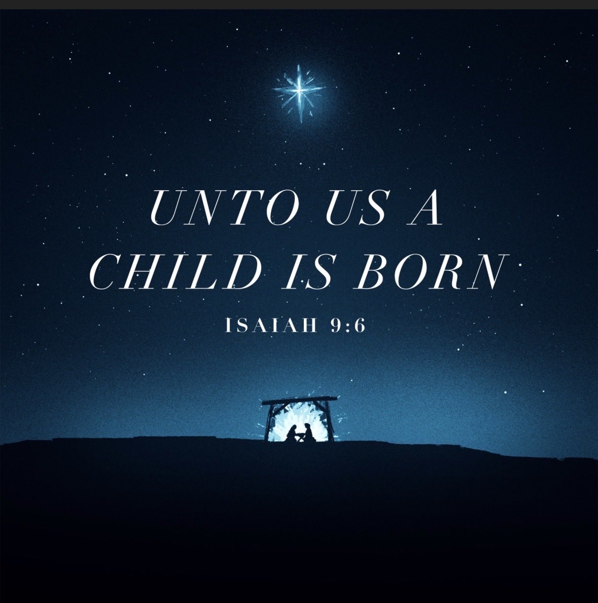 Barry Collier tweet media