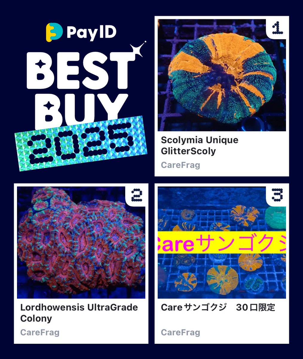 Blue_aqa's tweet image. わたしのPay IDベストバイ2025です！
商品はショップをチェック👇

🏬1位のショップ
payid.jp/bestbuy2025/ca…
📱BEST BUY画像を作る
payid.jp/payidbestbuy20…

色々あるんだけど、衝動買いランキング🤣
買い納めはどこ行ったww

@Care_Frag
#PayIDベストバイ