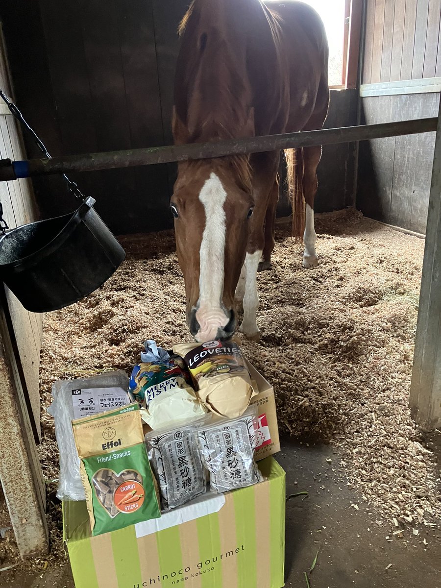 jvLVe1HRZDFTYu1's tweet image. ルミぽんの元にもサンタさんが🎅
皆様からのプレゼントだよ🎁嬉しいね☺️

Santa came to Lumipon too 🎅
Presents from everyone 🎁 He looks so happy ☺️