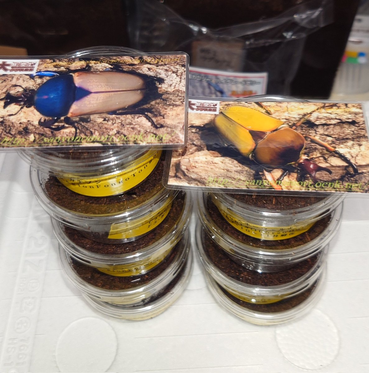 かぶぶくわわ (@mushi_lowkun) / Posts / X