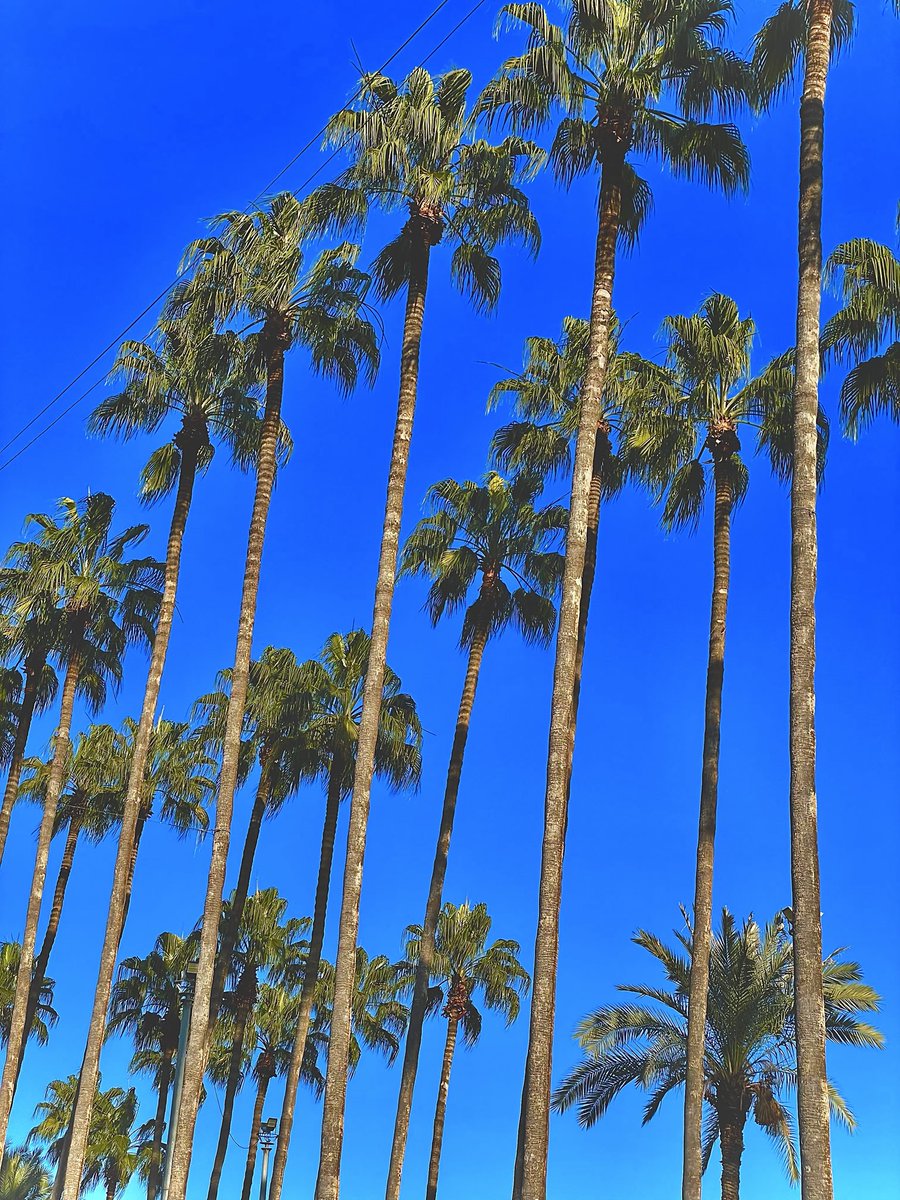 Happy Christmas y’all