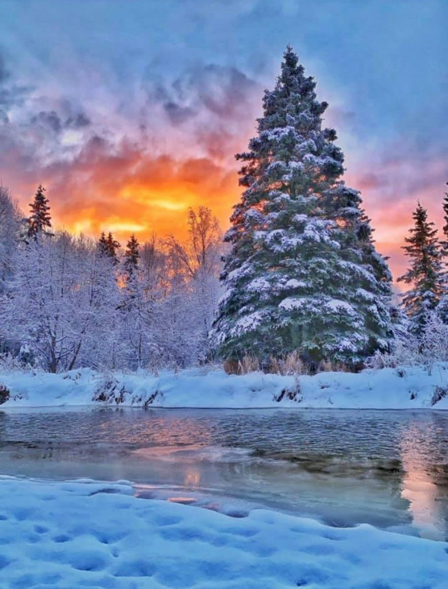 100+] Cute Winter Backgrounds | Wallpapers.com, image size:913x1200