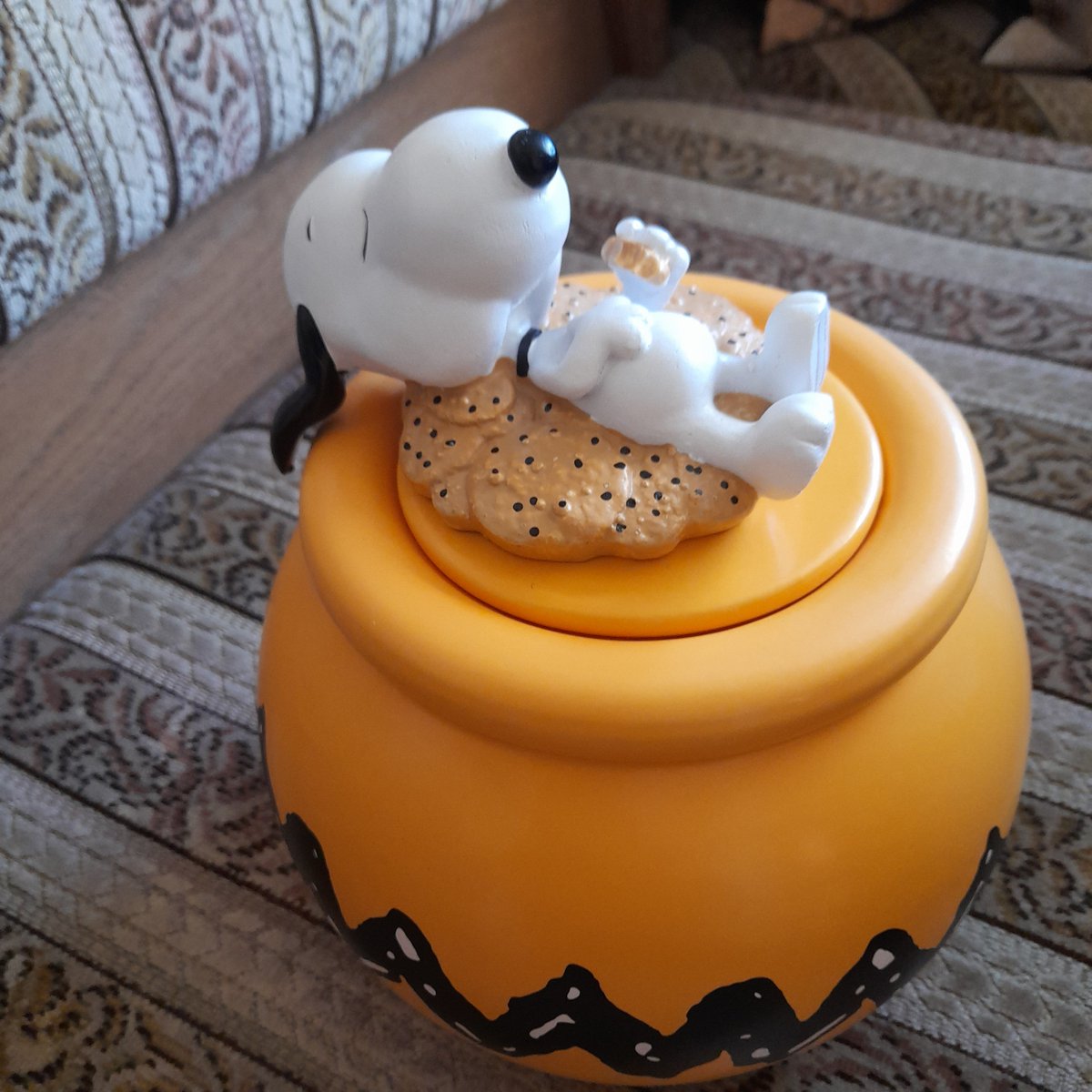 Stephanie😇 tweet media