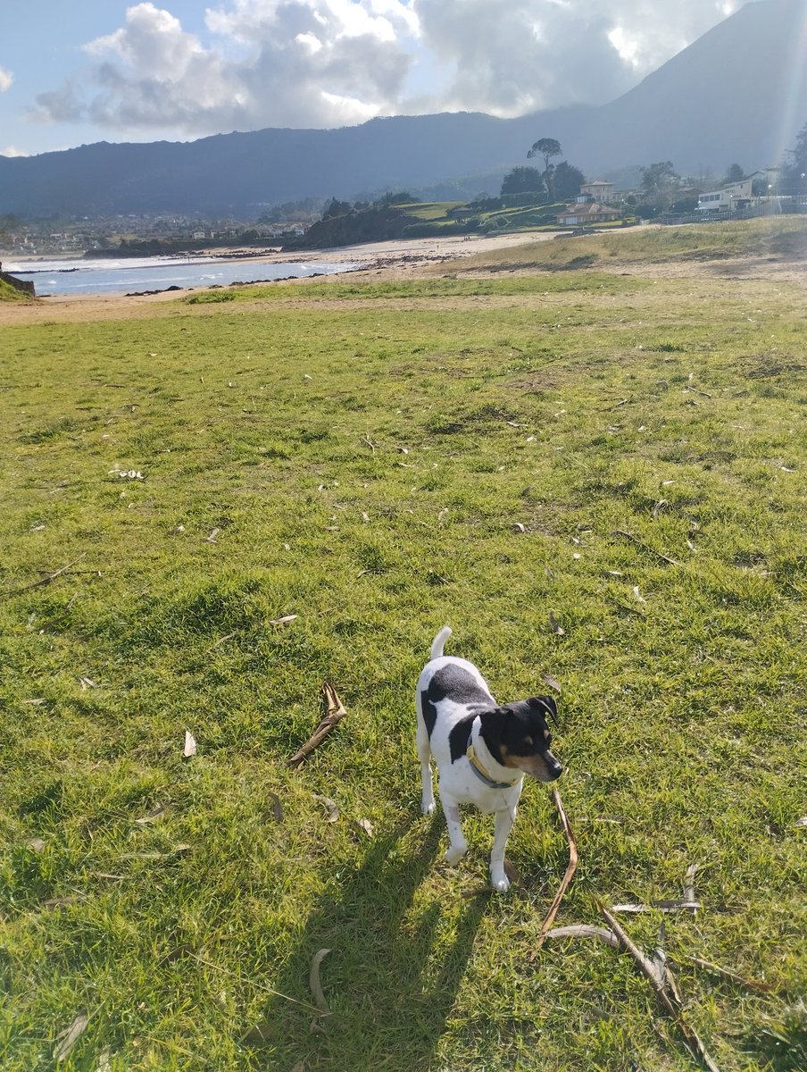 Y Coco... Igual 😏