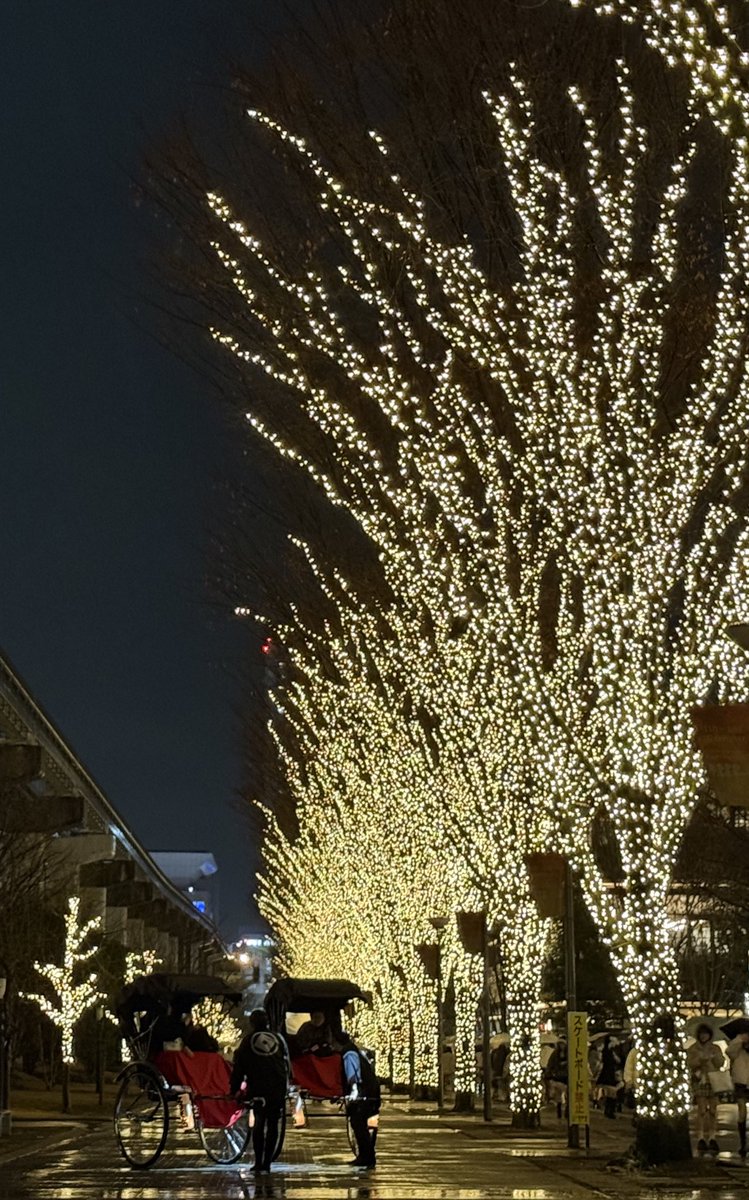 🎅メリークリスマス🎄