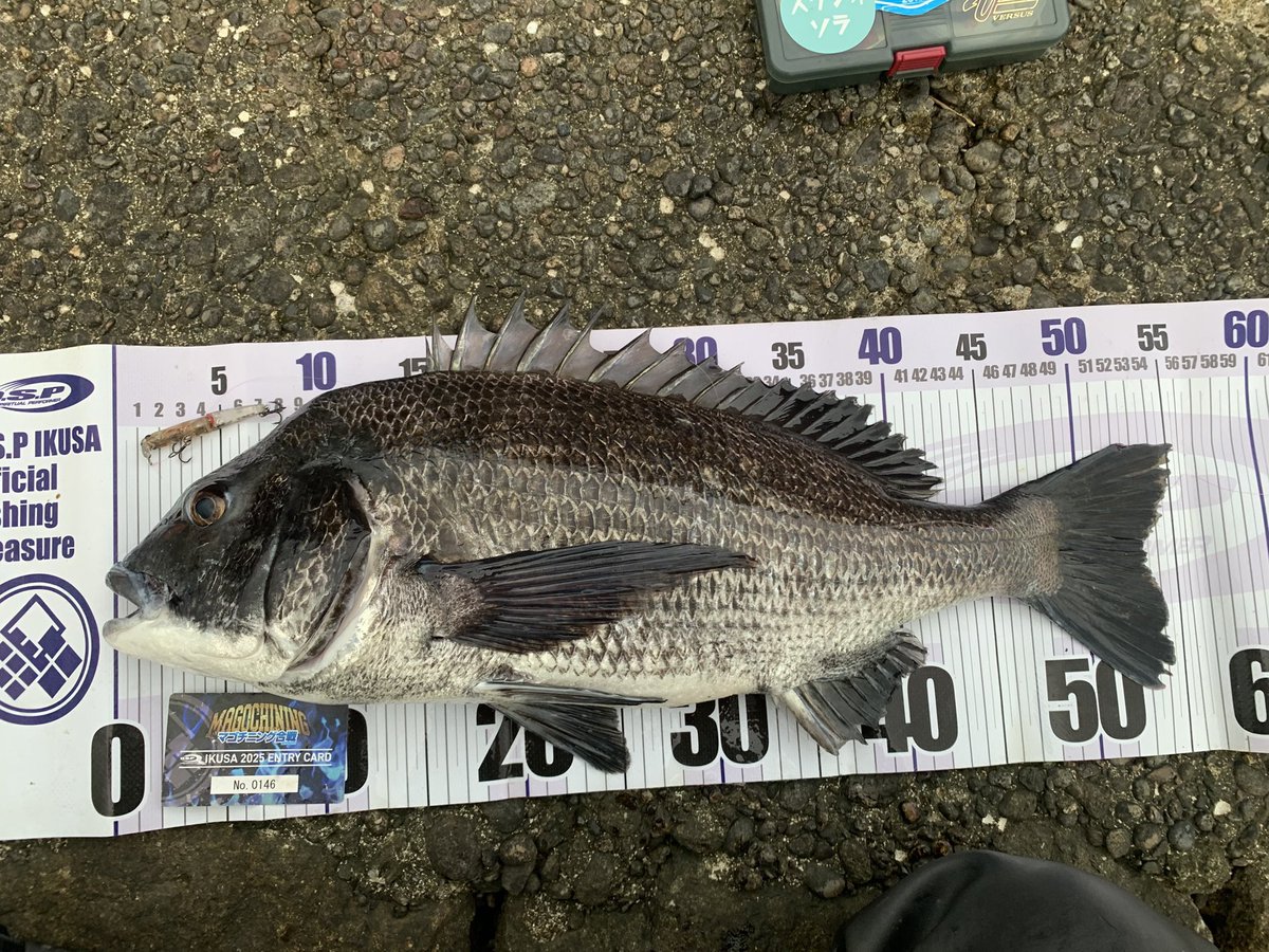 UーSAN🎣デカハネＧＰ２０２６ tweet media