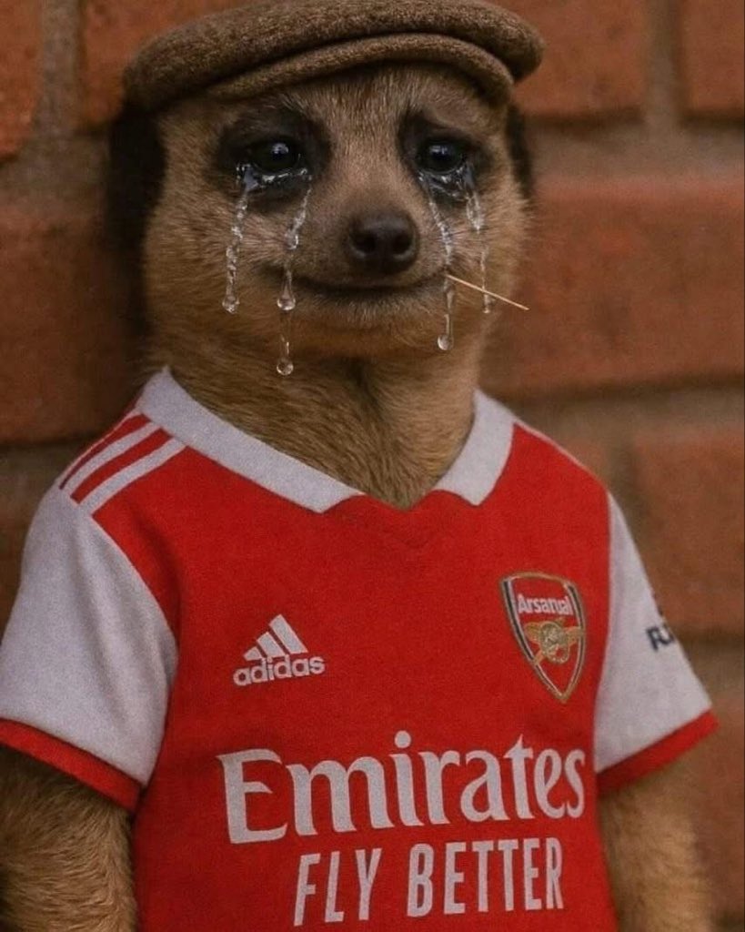 DvRoberts's tweet photo. Arsenal are the only club that has topped the Premier League table on 5 Christmas days and ended up bottling it. 😭 https://t.co/5h8y4Ope0P