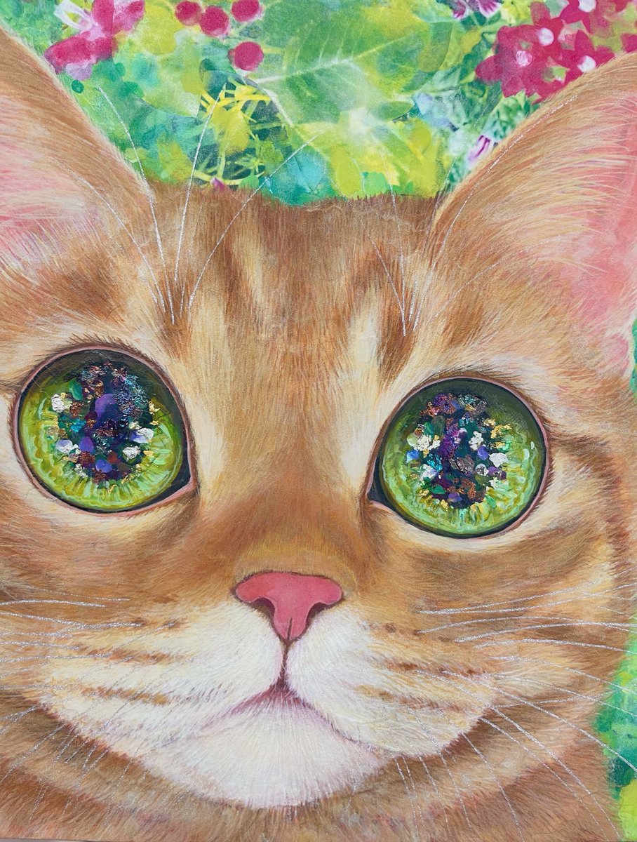 福嶋吾然有 (@AsariCats) / Posts / X