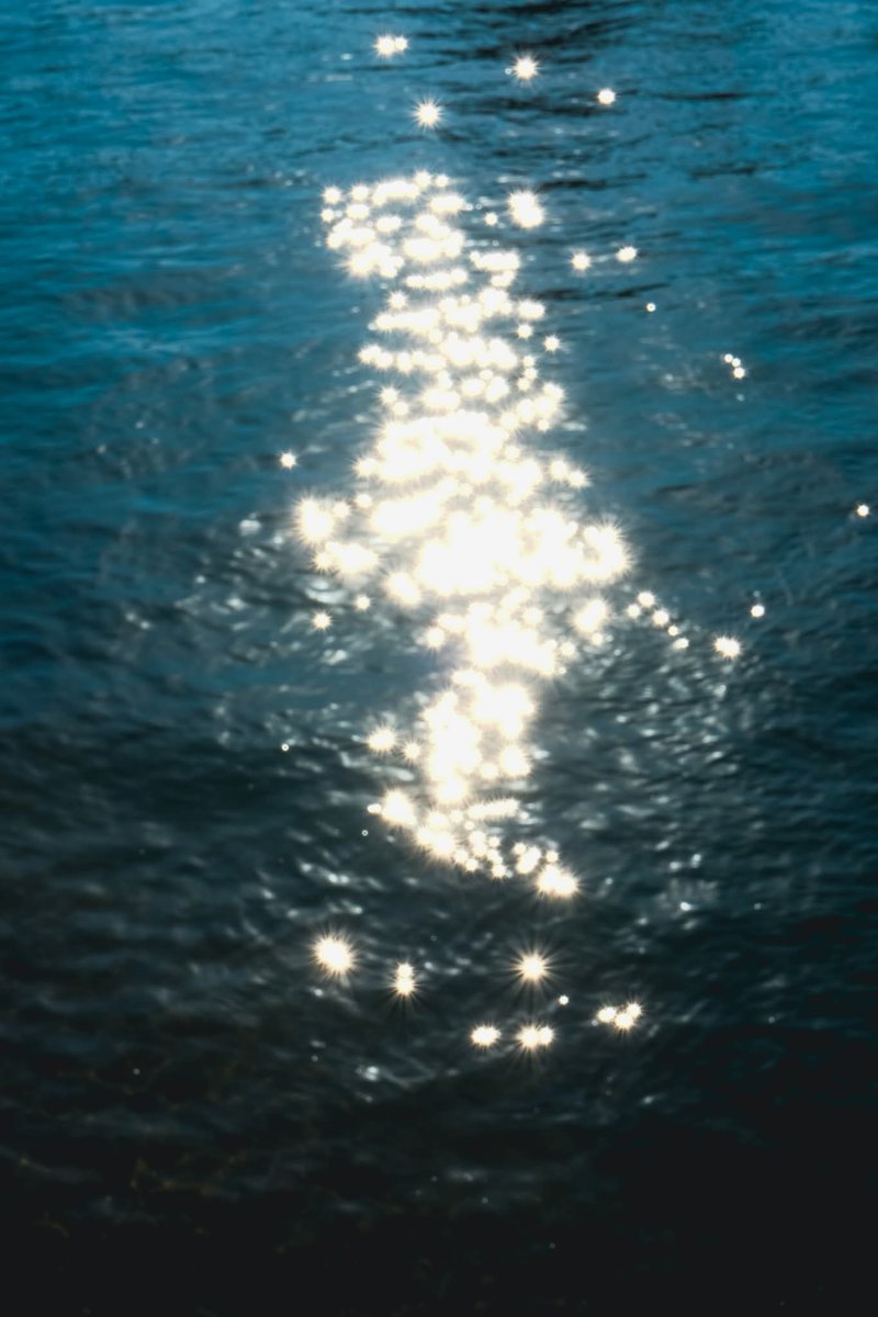 Chamila Rodríguez tweet media