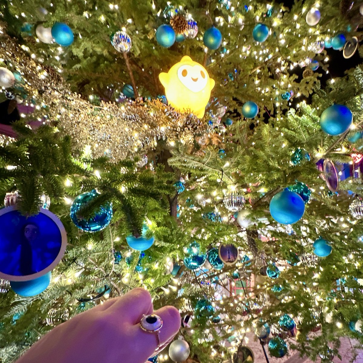 Merry Christmas 🎄
May what you treasure shine a little brighter today✨