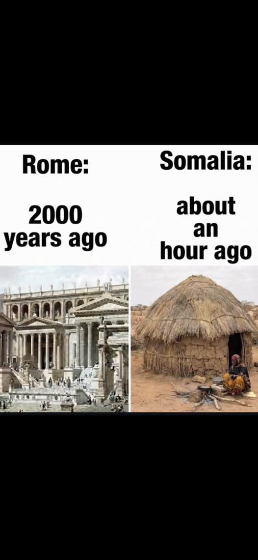 FlowersEnglish's tweet image. 