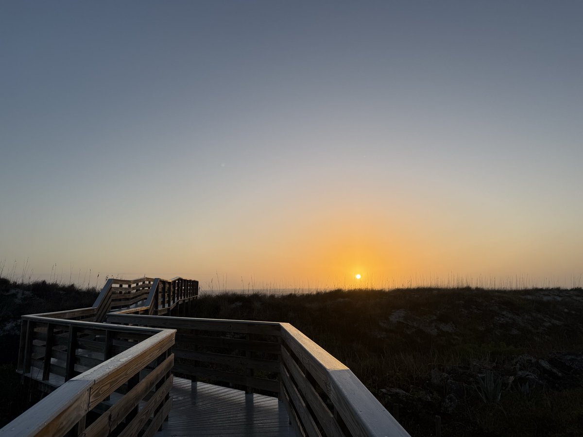 cat heifner tweet media