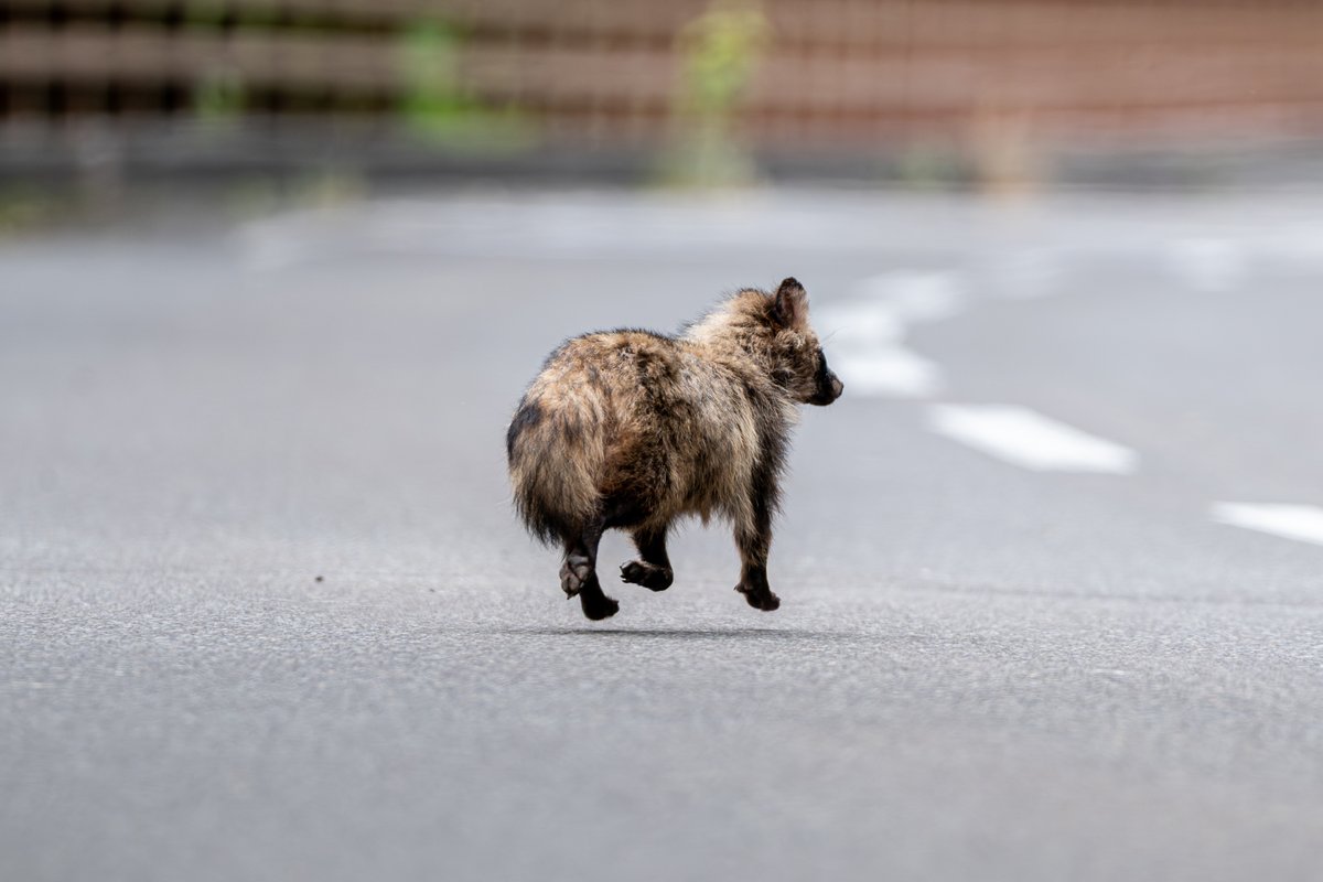 じゅんじゅん (@mintberrxw) / Posts / X