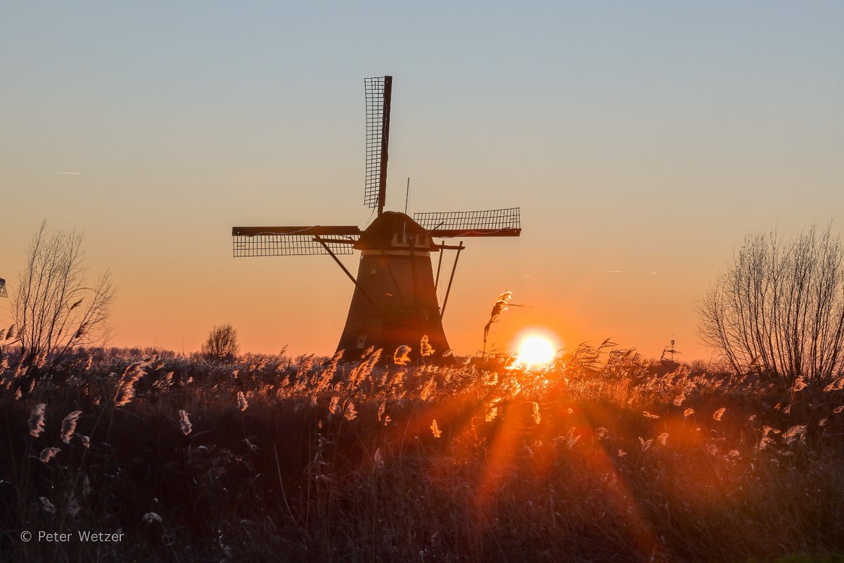 Peter Wetzer 😊 tweet media