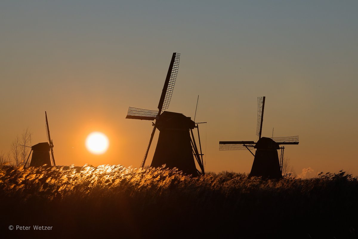 Peter Wetzer 😊 tweet media