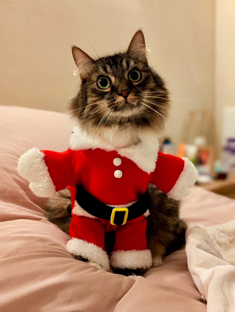 Isabelle Chataignier tweet media