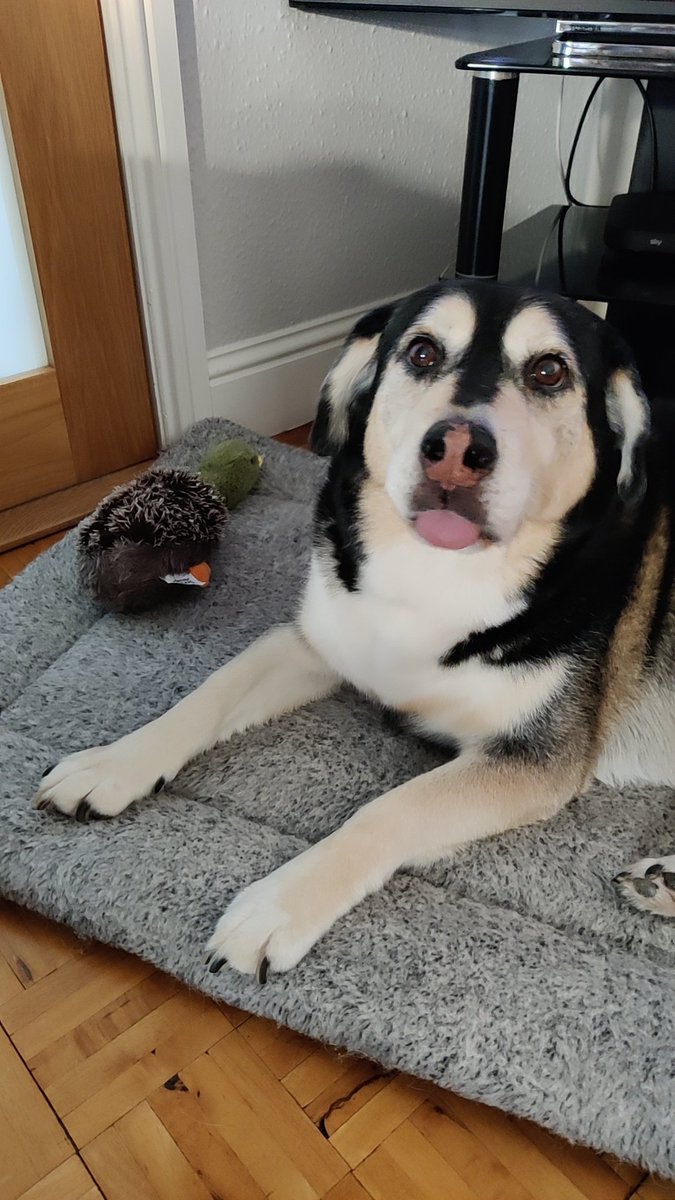 Emily 'Cherry' 🍒 tweet media