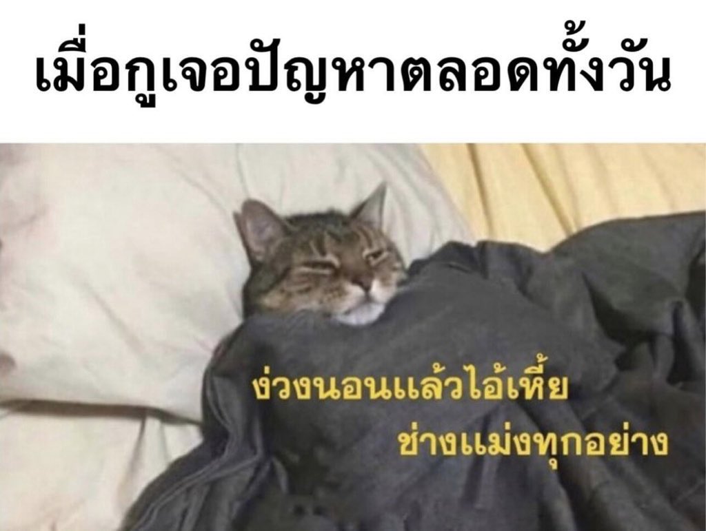 poppy_rjk's tweet image. กุในทุกๆวัน55555555555

#TCAS69 #DEK69 #TGAT #TPAT  #มอกรุงเทพ #วันนี้dek69ทำอะไร