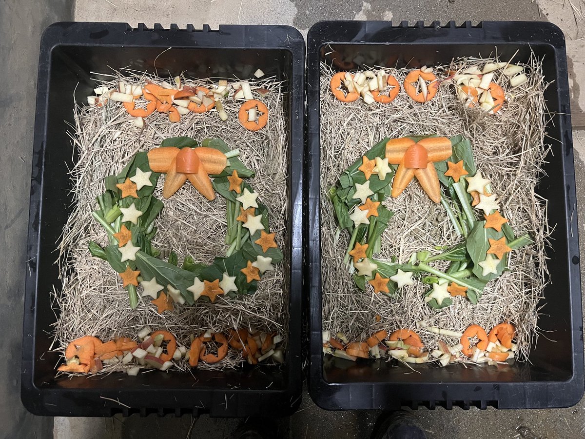 カピバラさま専用 カピバラたちに差し入れをいただきました！ 朝ごはんはいつもより豪華