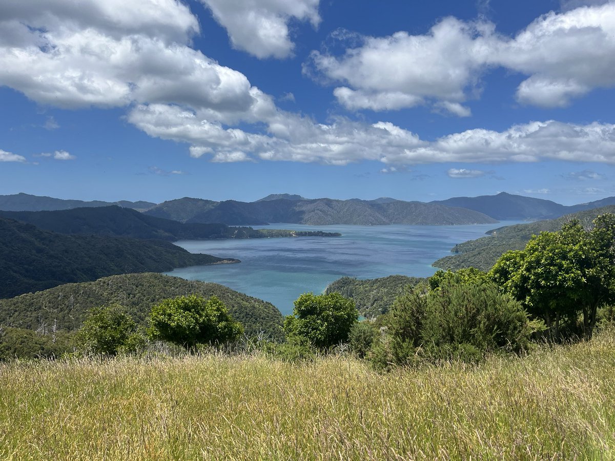 Happy Christmas your bags will ascend one day 🫡