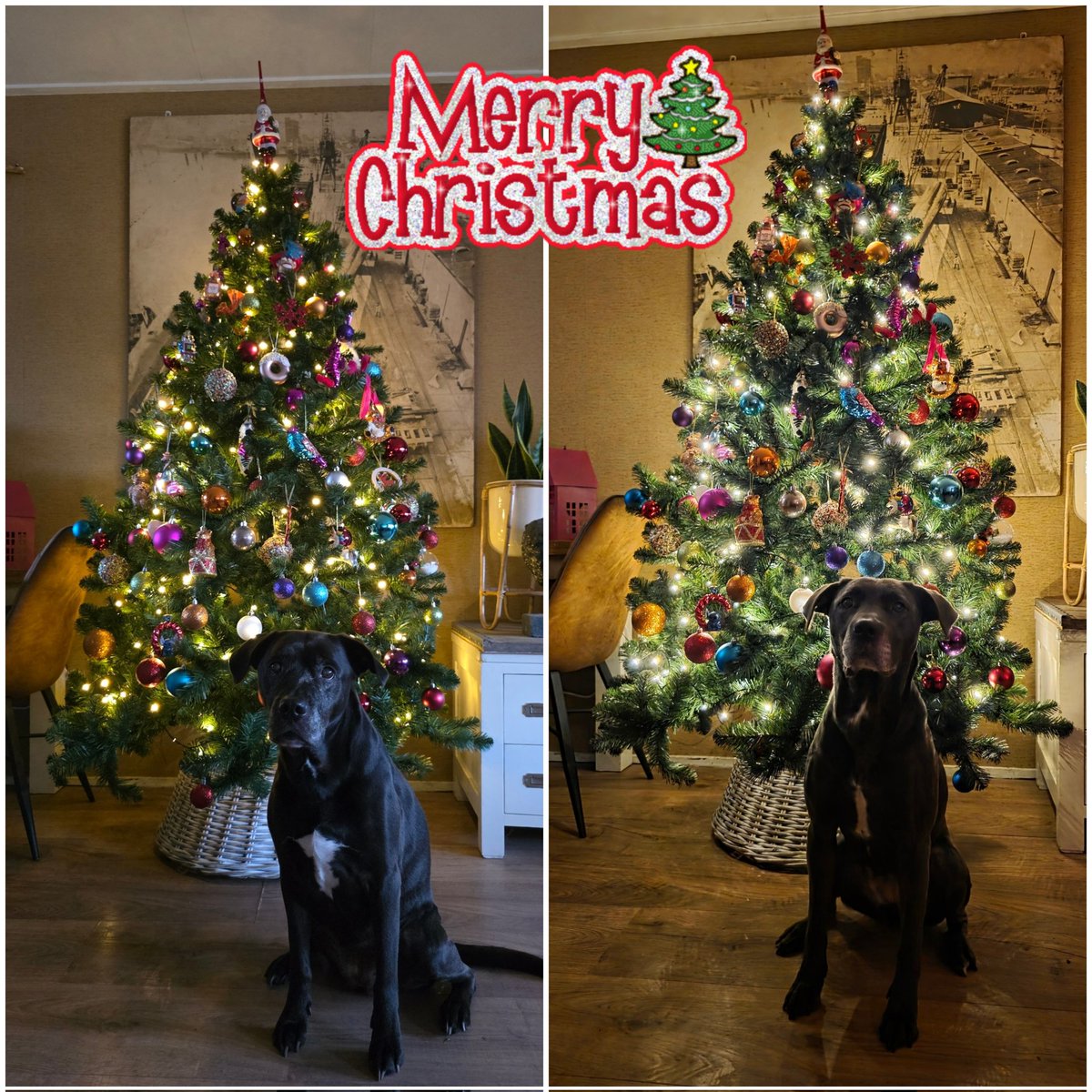 Fijne feestdagen!🎄