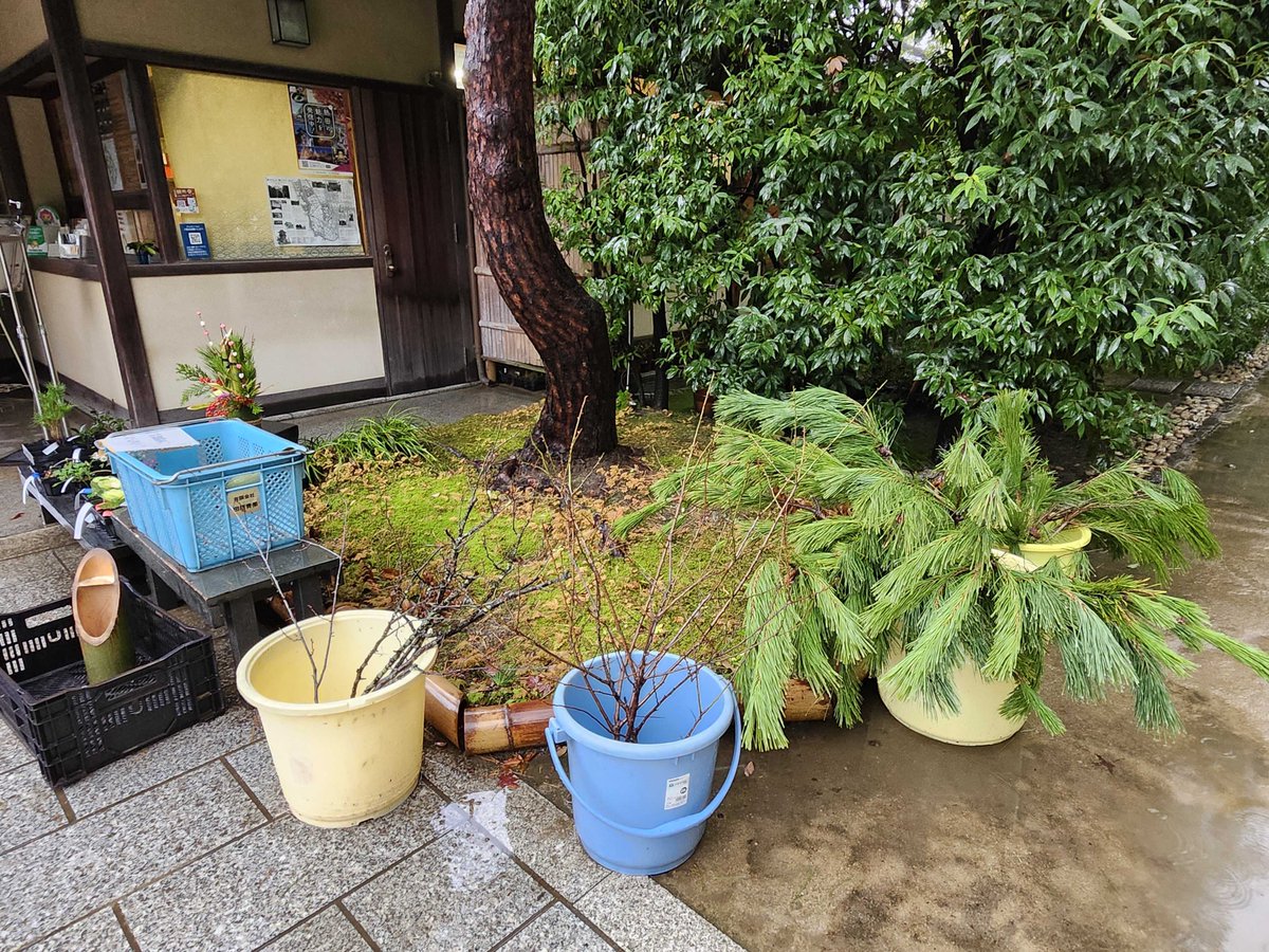 2025/12/26】 ミニ門松を数量限定で販売中です。受付にてお声がけ