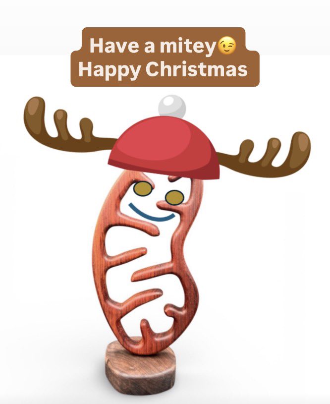 Neil Bindemann tweet media