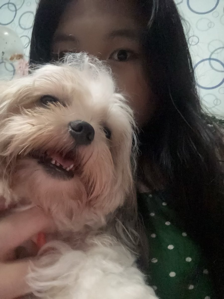 jelstudy_'s tweet image. hello ! #studytwt MERRY CHRISTMAS !!! 🎄🌟