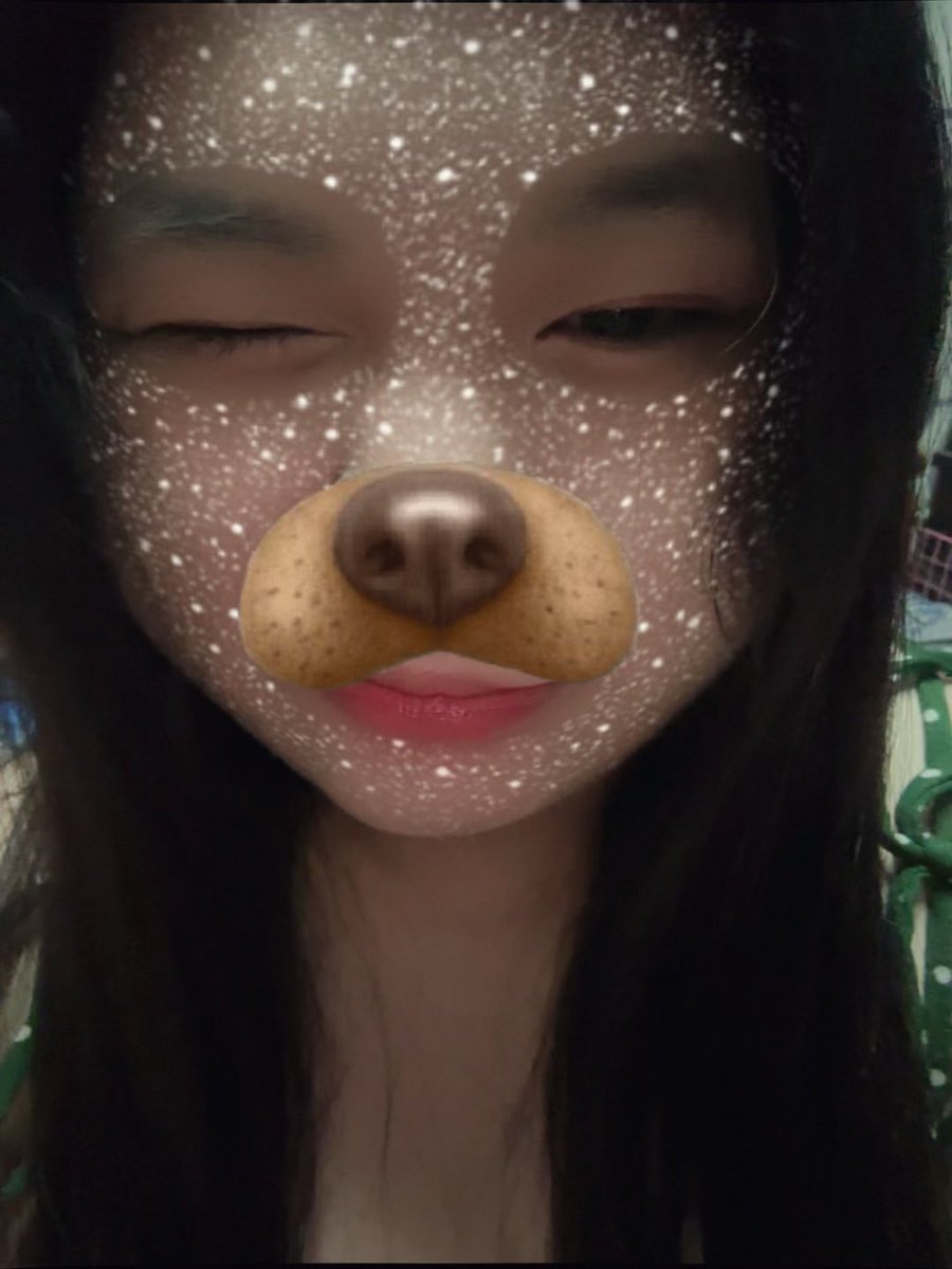 jelstudy_'s tweet image. hello ! #studytwt MERRY CHRISTMAS !!! 🎄🌟