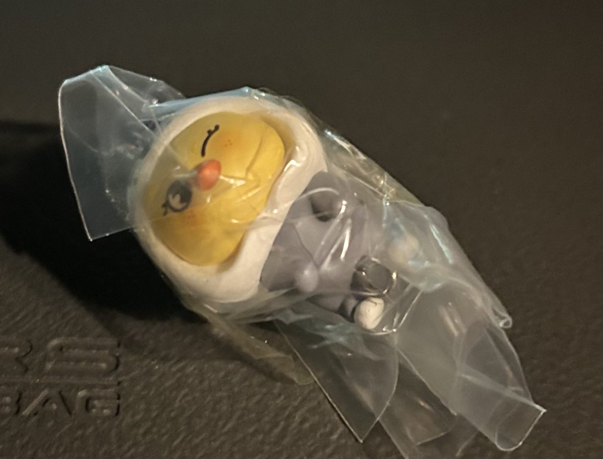 くおっかのほっぺ🐿 tweet media