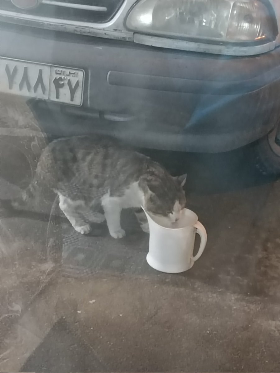 عِــــفــــ𝕏 tweet media