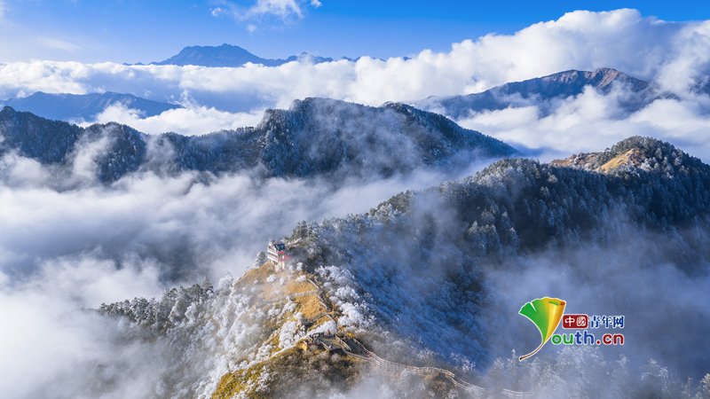 YouthChina's tweet photo. On December 23, 2025, in #Chengdu, #Sichuan, a sea of clouds rolled over #Xiling Snow Mountain, with rime covering the branches. The #mountains appeared like a fairyland amidst the interplay of ice, snow, and mist. #snowmountain #ChinaTravel https://t.co/zboSkYEhU0