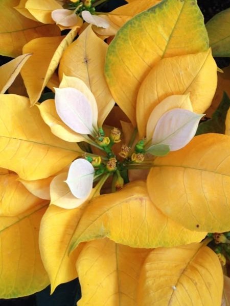 Smile 🫰 (@smile__v4) / Posts / X