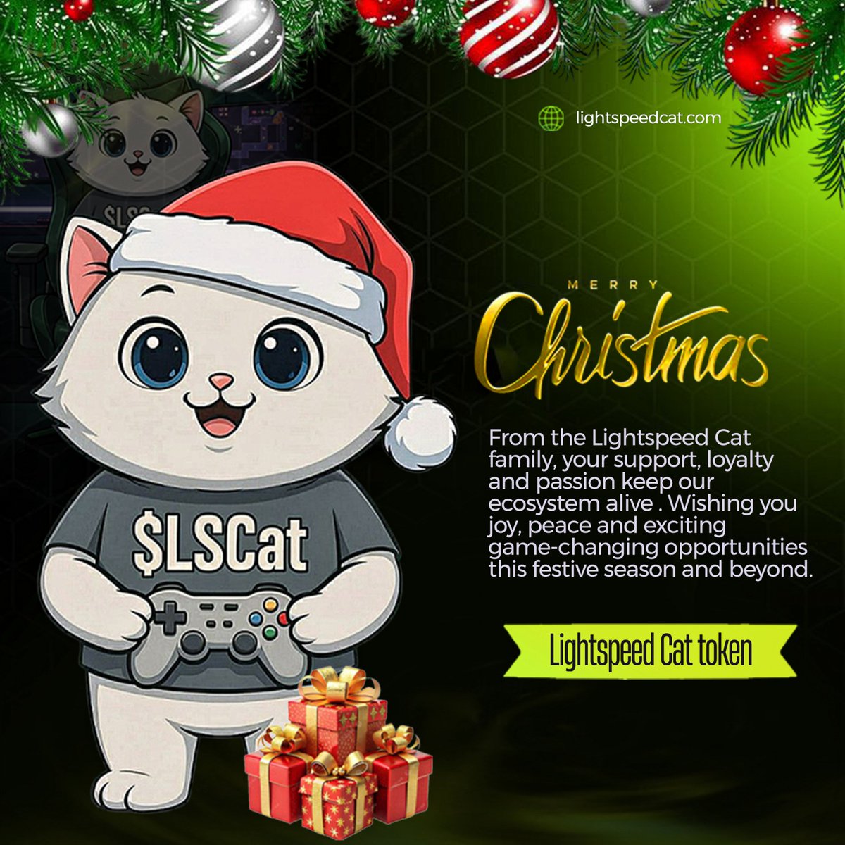 Light Speed Cat V2 - LSCat tweet media