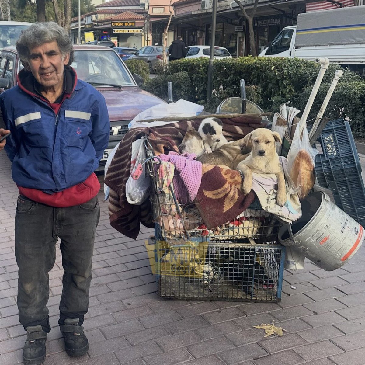 Manisa’da, köpekçi İsmail lakaplı bir adam sokakta üşüyen köpekleri hurda arabasında gezdiriyor.