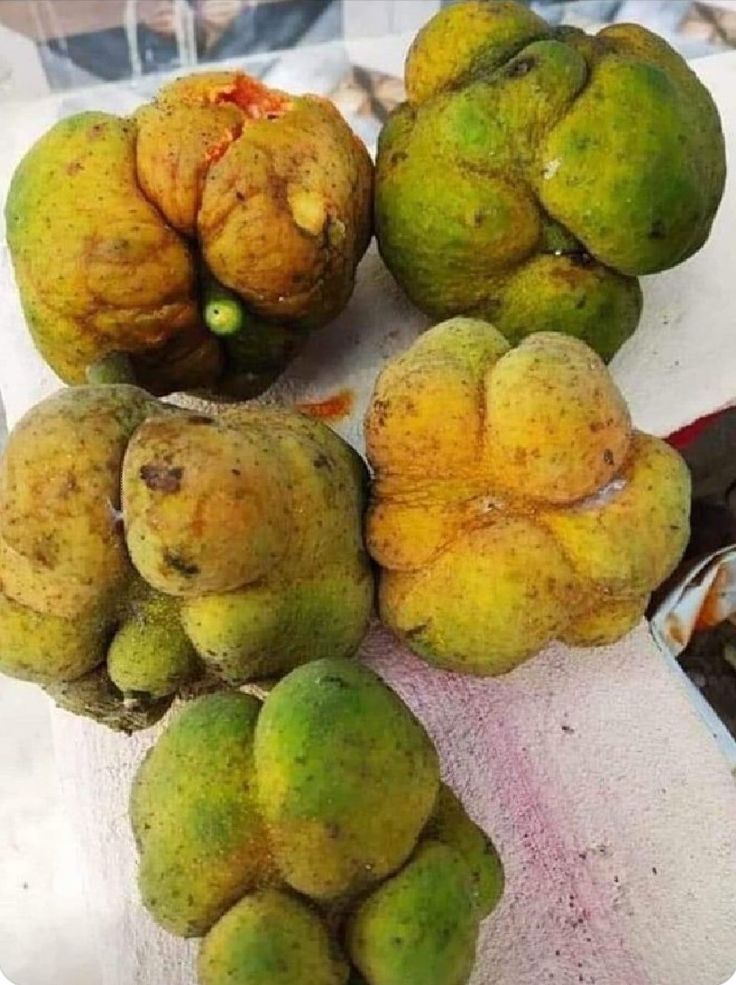 Ayesha Khan tweet media