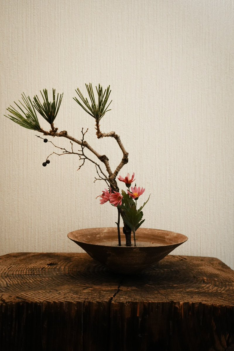 メリークリスマツ
年末年始に向けて松の手入れをしたので剪定枝をもらって生けました。