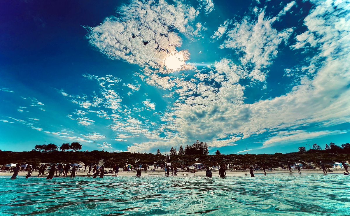 Tim Minchin tweet media