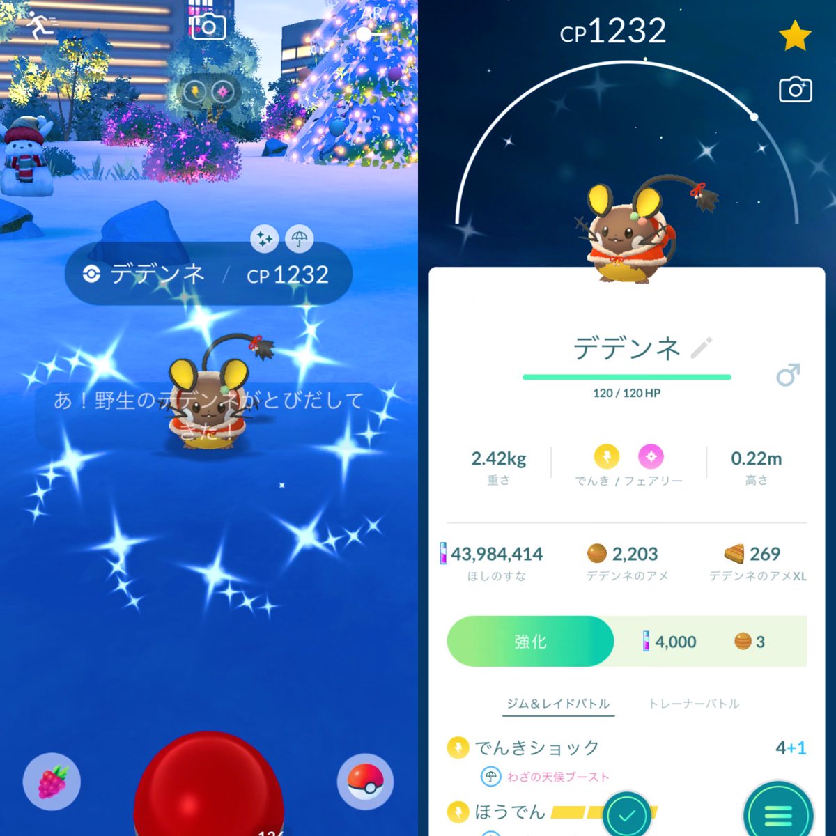 andy_PokeGo's tweet photo. メリークリスマス🎅
まさかの自宅に出た1タップ目👏👏
良いプレゼントになりました☺️

#ポケモンGO
#デデンネ https://t.co/57Tjh9UqLF